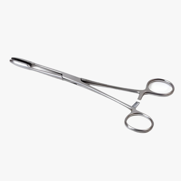 Maier dressing forceps with ratchet, straight, 25 cm
