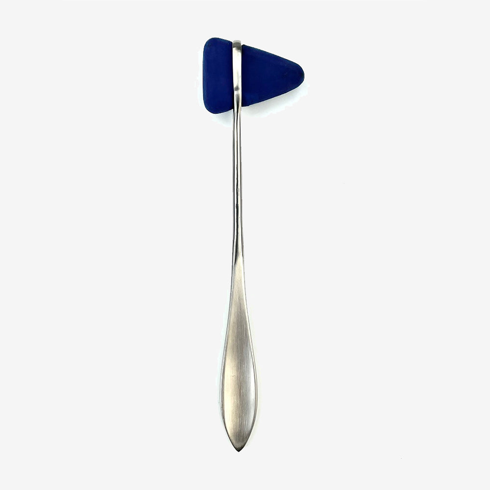 Reflex Hammer Taylor